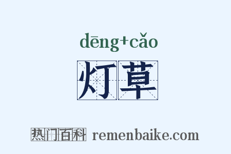 灯草是什么意思的图片